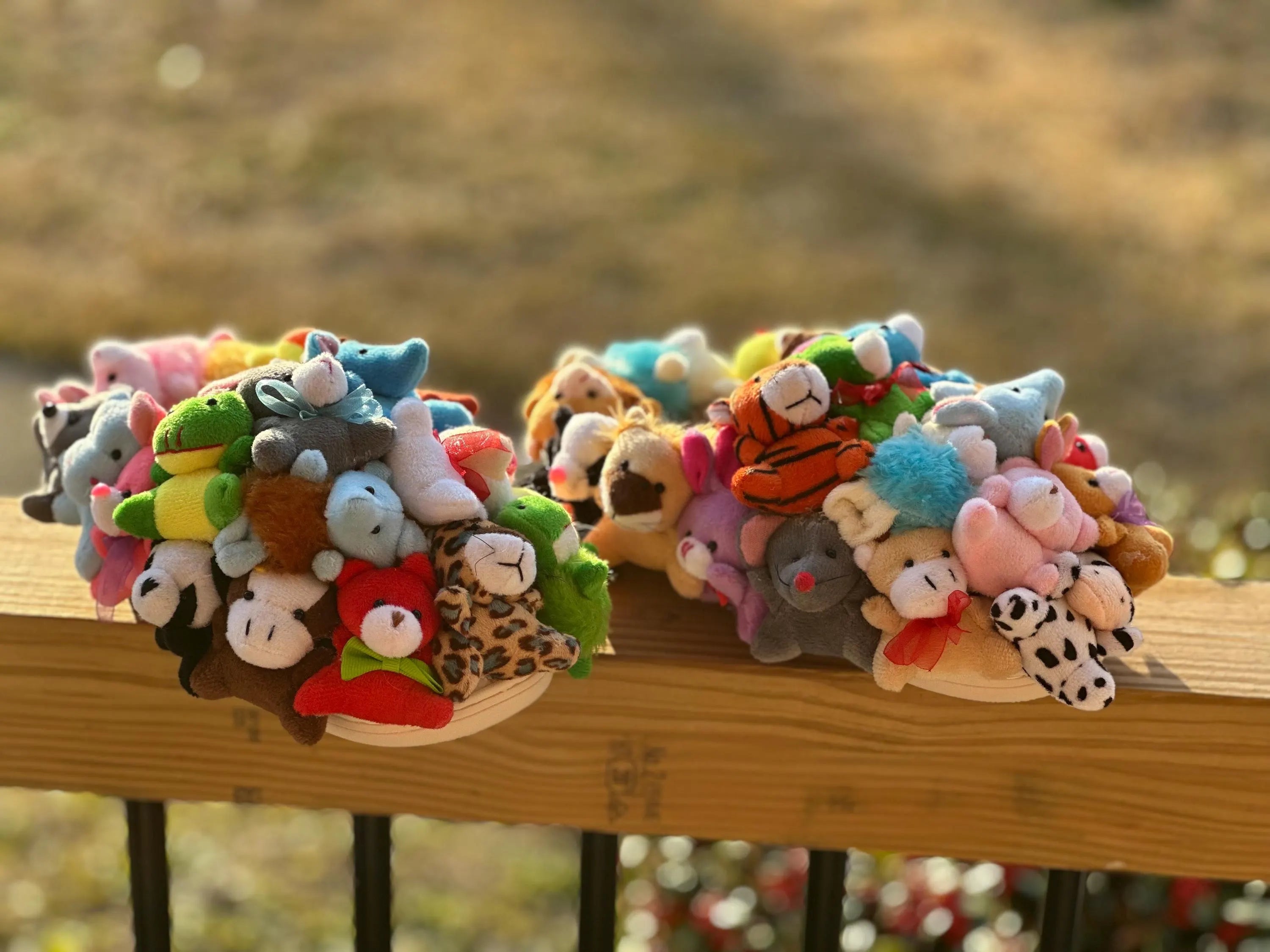 Delaina Made It Teddy & Friends Slides